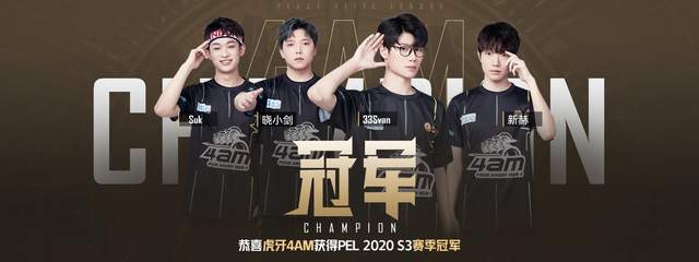 他在蛙泳技 他在蛙泳技